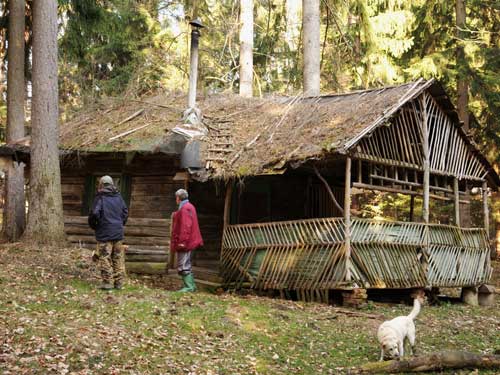 Foto Cabana silvica finlandeza (c) Petru Goja